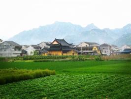 Jiangtou Village Rice Field